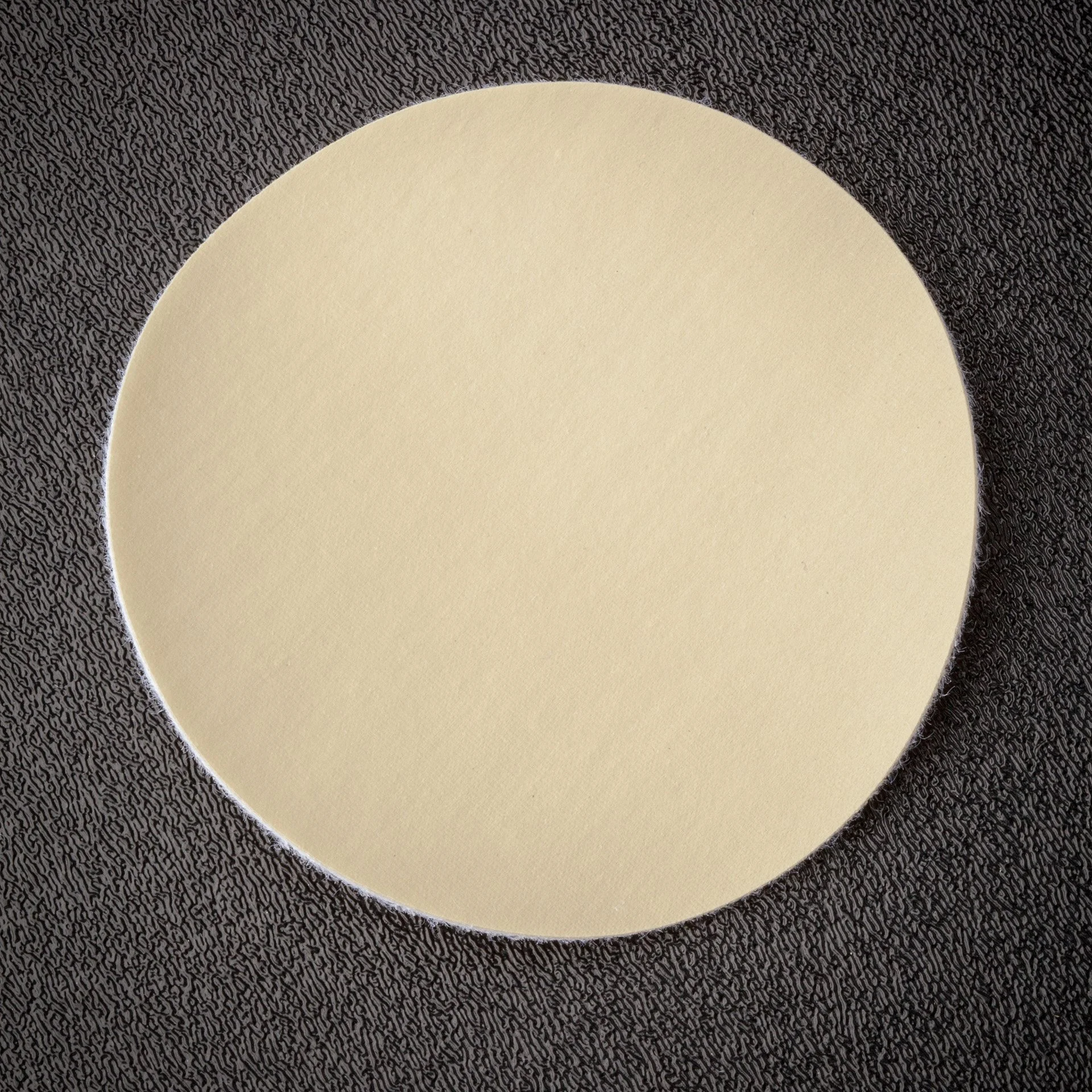 2000 Diamond Grit ScrubDisk@