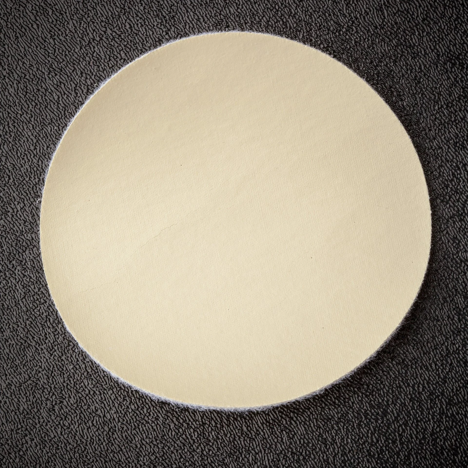 3000 Diamond Grit ScrubDisk@